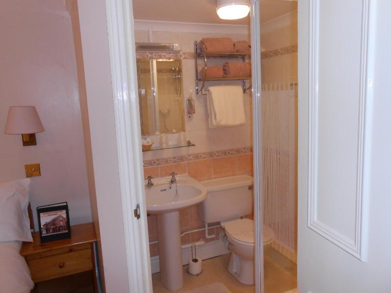 Large Single Room image 3