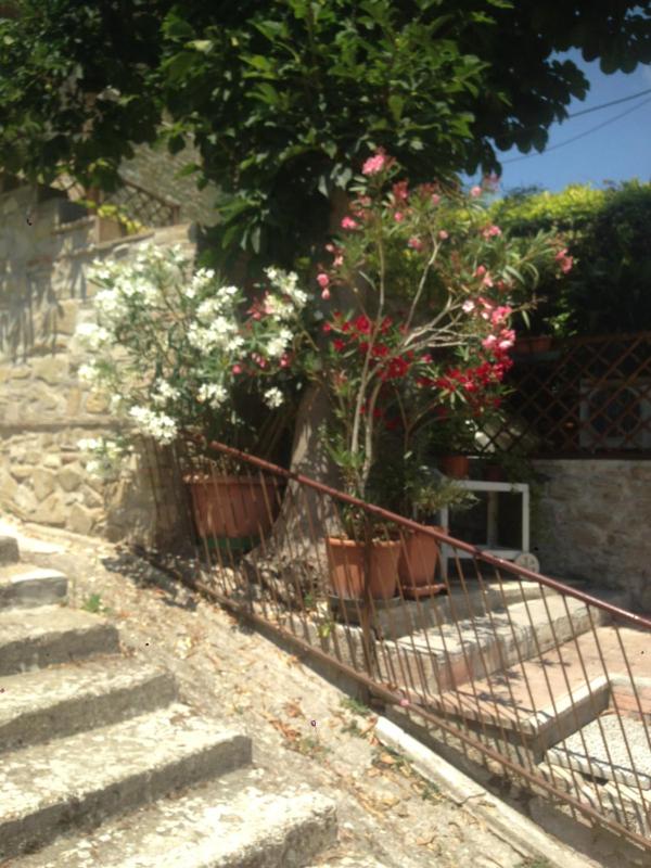 Residenza Etrusca - image 18