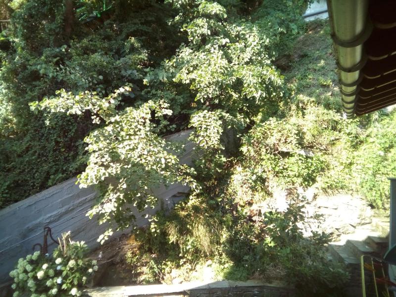 Triple Room with Garden View image 2