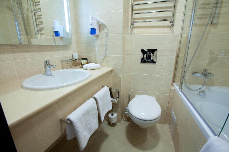 Premier Twin Room image 3