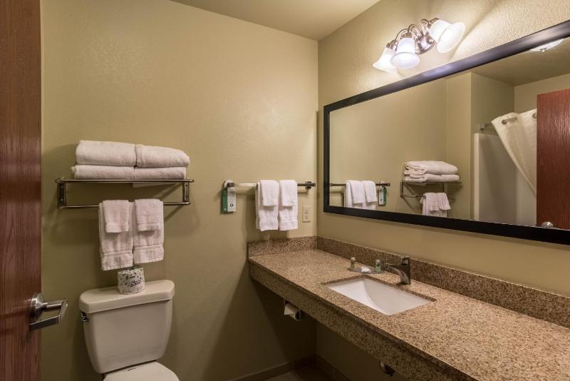 Deluxe King Room image 2