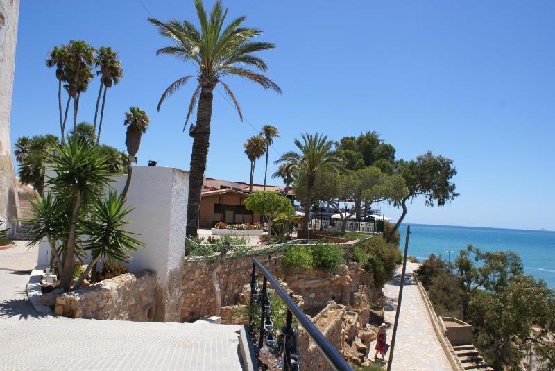Oriheula Costa Cabo Roig 5 - image 12