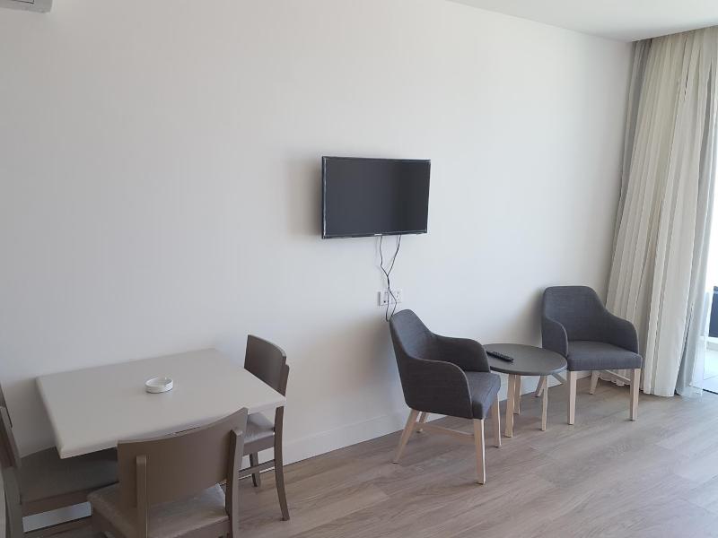  One-Bedroom Apartment image 2