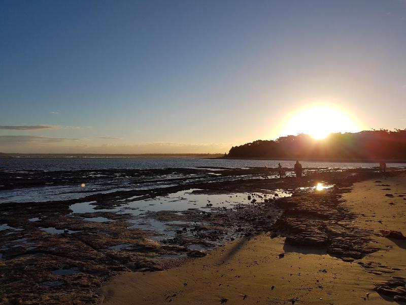 Paradise by the Bay - image 5