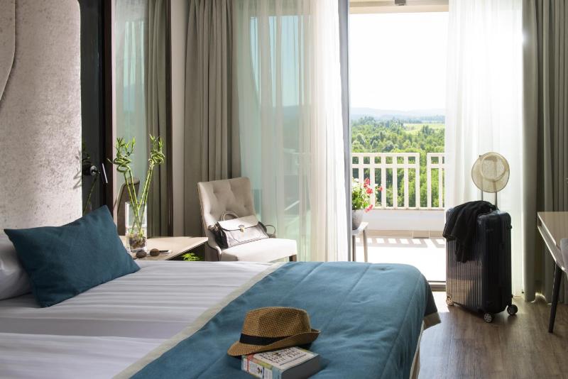 Superior Double or Twin Room with Balcony and Park View image 3
