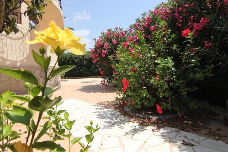 MARYVILLA 224 - image 6