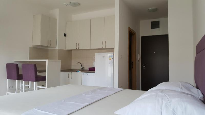 Studio Apartment image 4