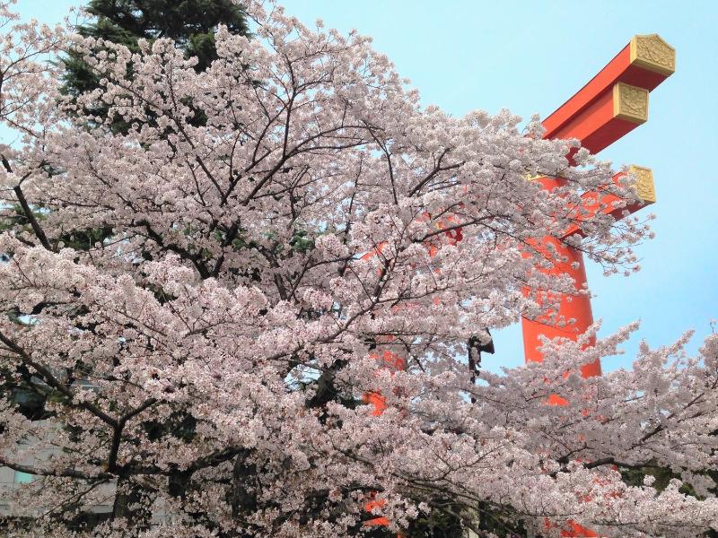 OKI's Inn - image 13