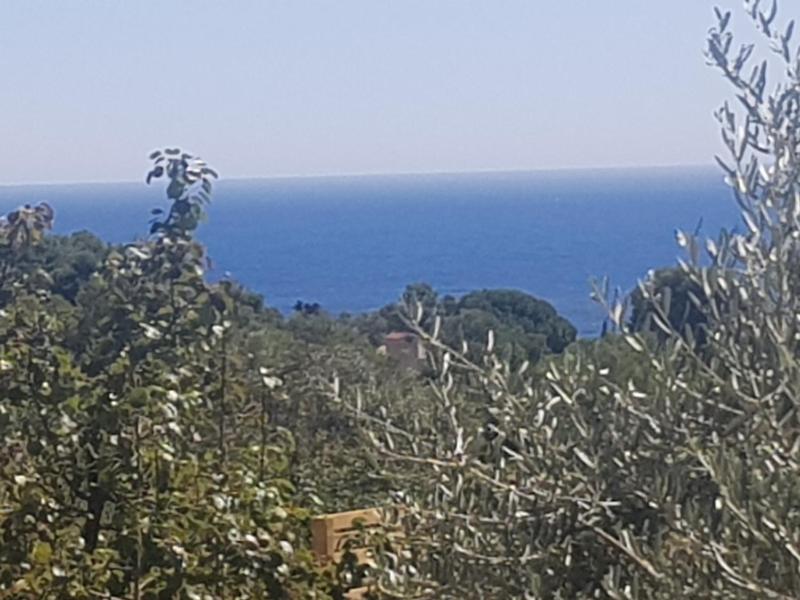 Hostal Ondina - image 16
