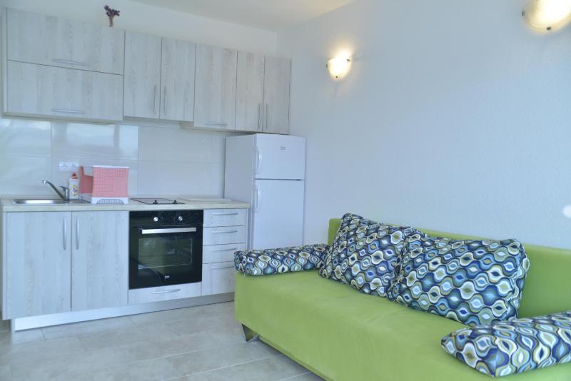 Franovic Apartments - image 2