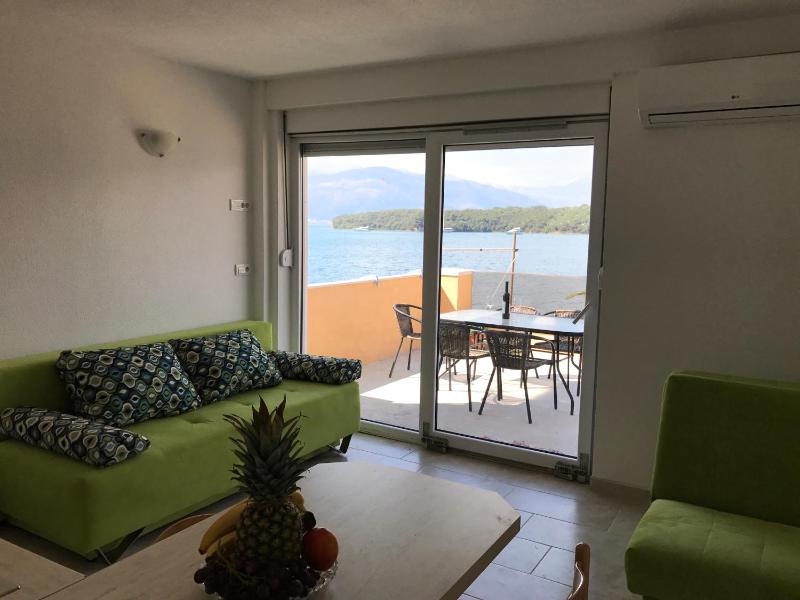 Franovic Apartments - image 5