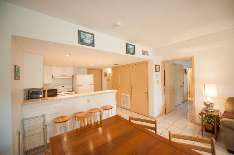 South Padre Island Beach Rentals - image 23