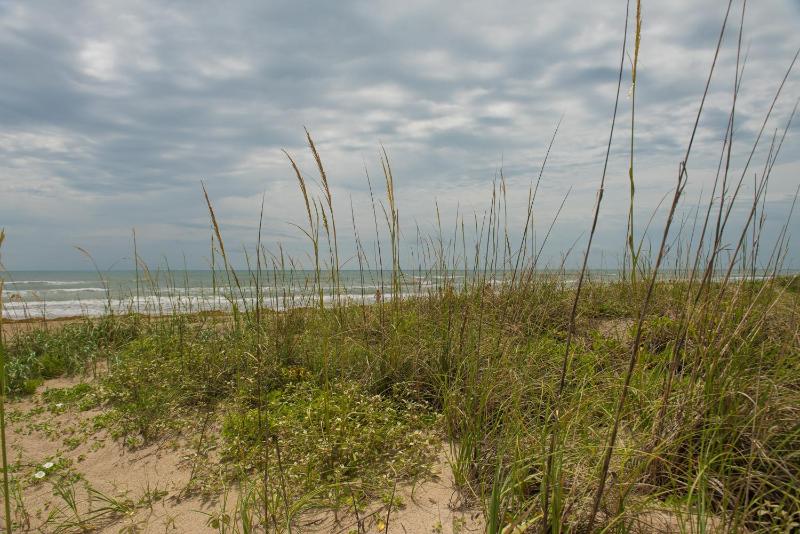 South Padre Island Beach Rentals - image 1