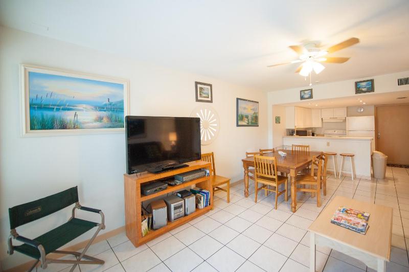 South Padre Island Beach Rentals - image 11