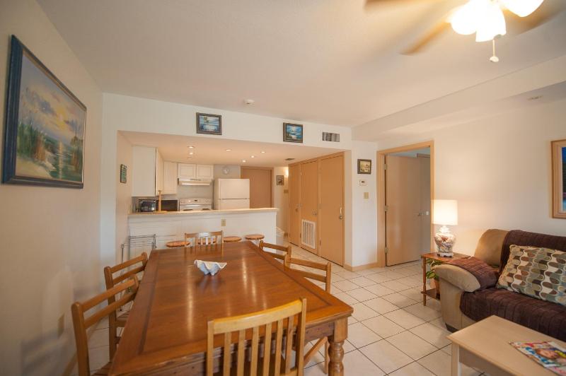 South Padre Island Beach Rentals - image 10