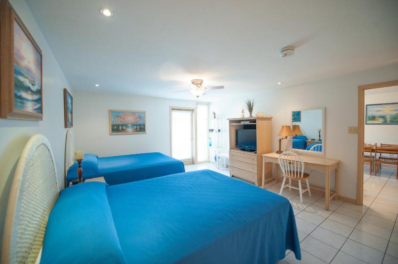 South Padre Island Beach Rentals - image 18