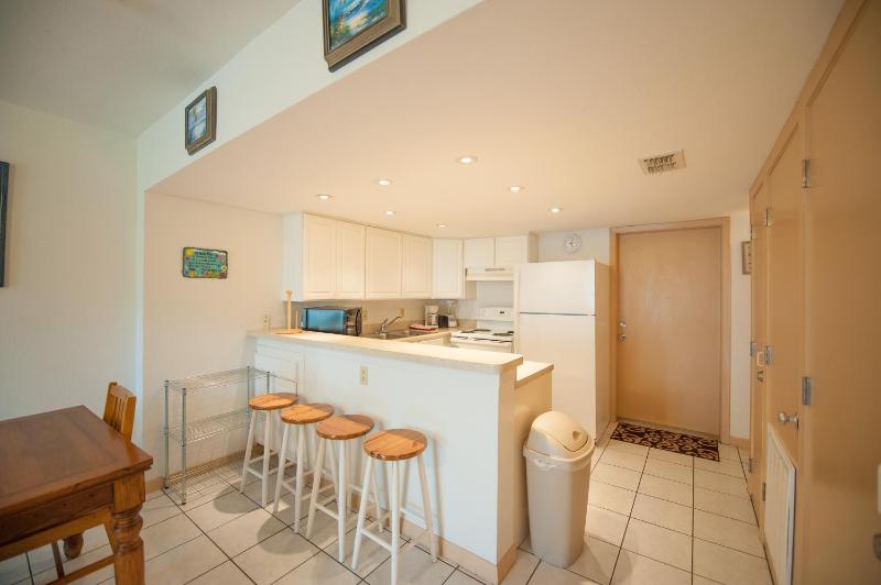 South Padre Island Beach Rentals - image 21