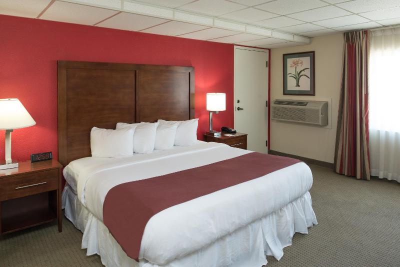 King Room - Non-Smoking image 2