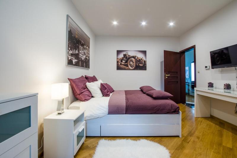 One-Bedroom Apartment image 3