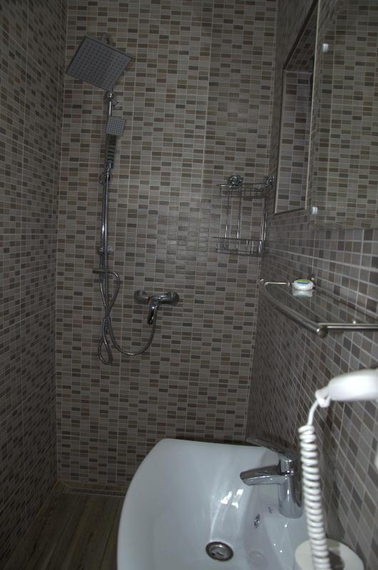 Single Room image 1