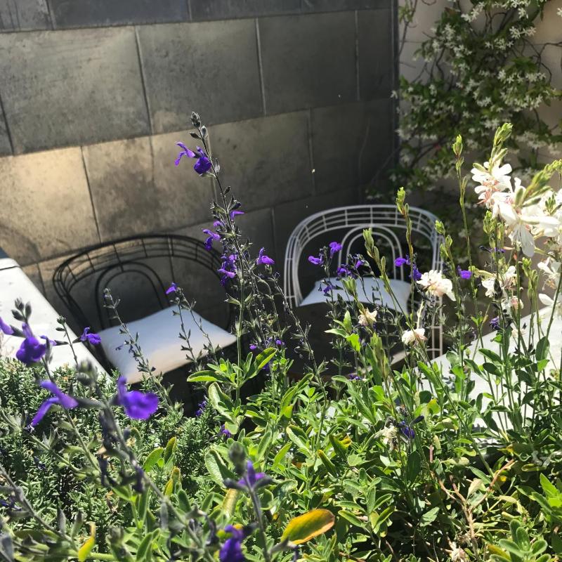 Classic Double Room with Terrace 