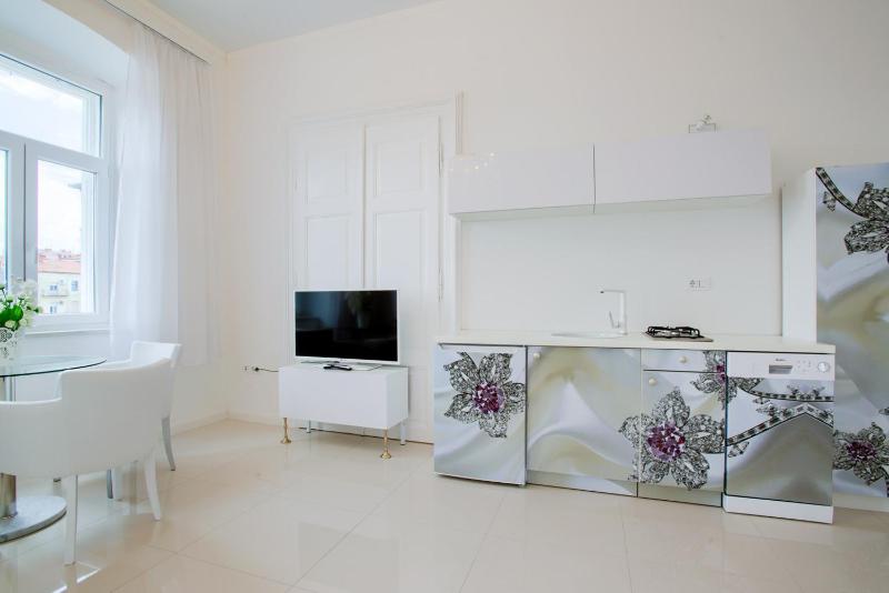 Studio Apartment image 4