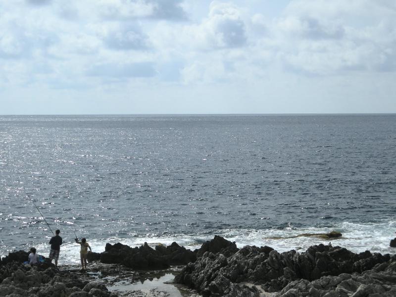 Casa Movida - image 30