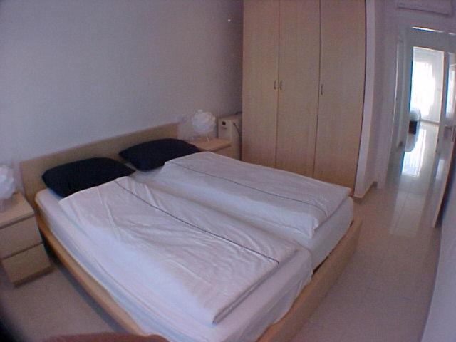 009 Noguera - image 6