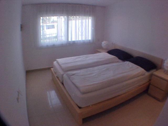 009 Noguera - image 19