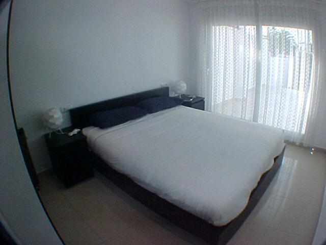 009 Noguera - image 15