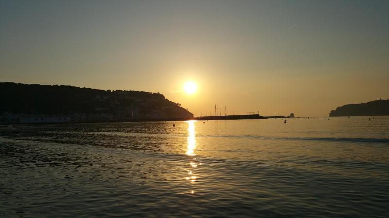 Blaupark - image 3