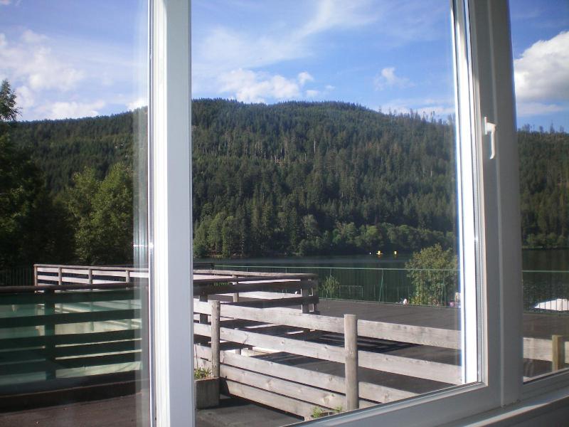 Two-Bedroom Apartment - Forest side  image 3