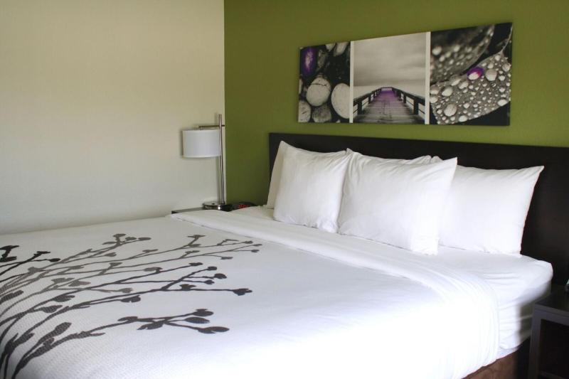 King Room - Non-Smoking image 3