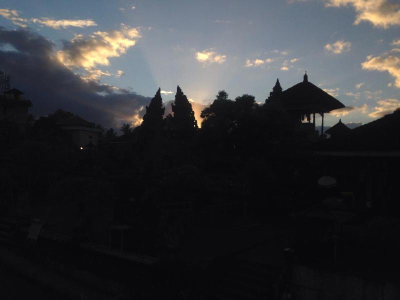 Wina Ubud B&B - image 15
