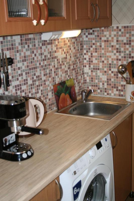 Two-Bedroom Apartment image 4