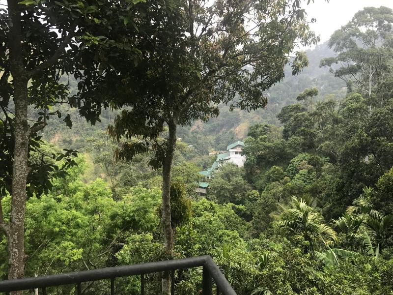 Raveena Guest House - image 15
