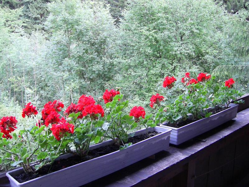 Single Room with Balcony image 3