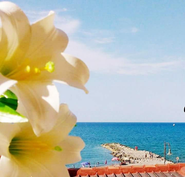Al Giglio - Bed and Breakfast Images