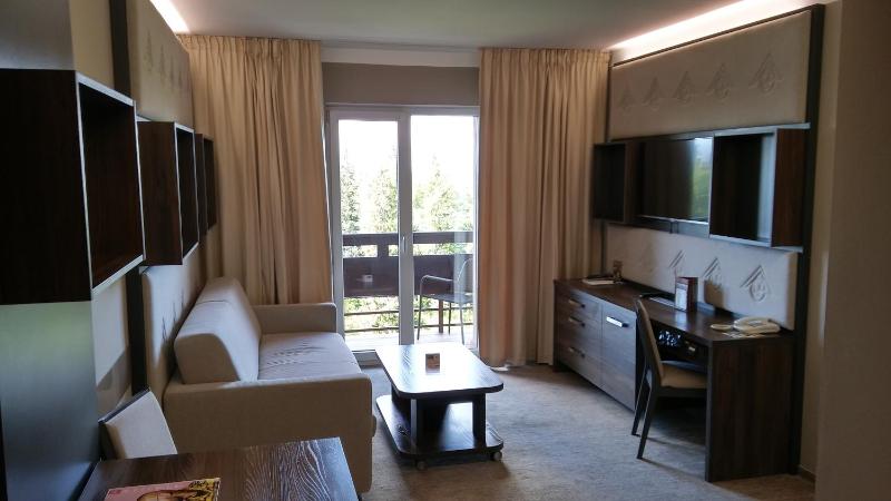 Deluxe Suite image 4