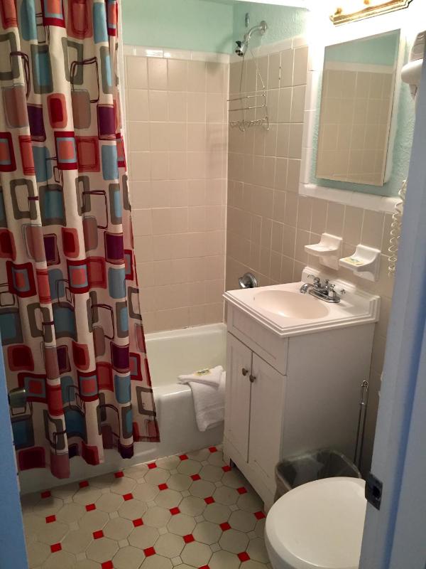 Two-Room Efficiency image 4
