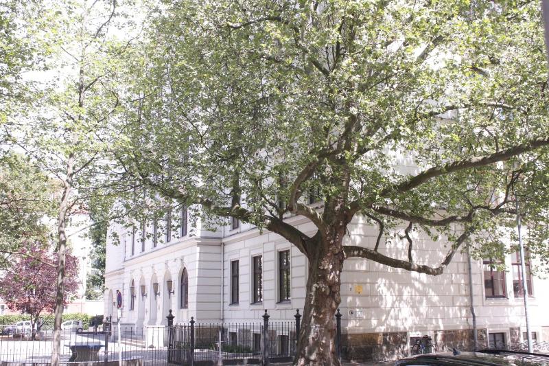 Silentio Schletterstrasse - image 22