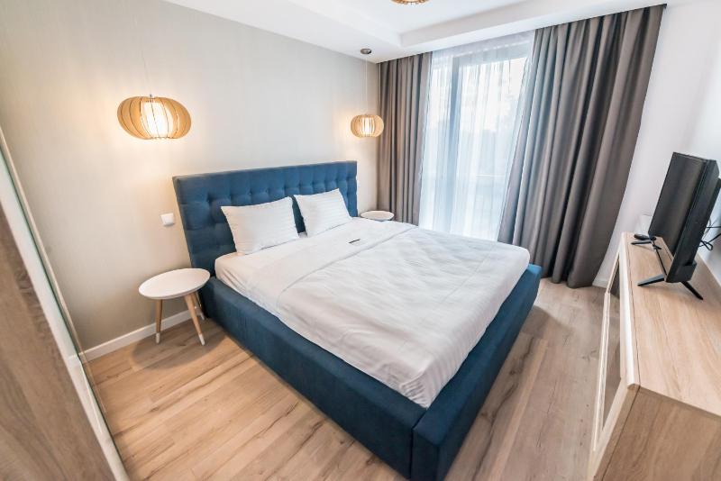 One-Bedroom Apartment image 4