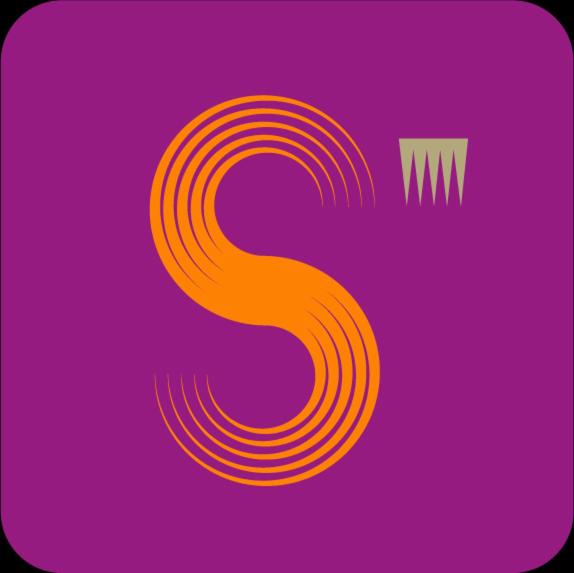 Singular Metropol - image 5