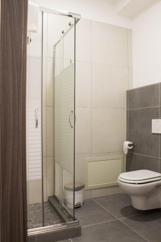 One-Bedroom Apartment image 4