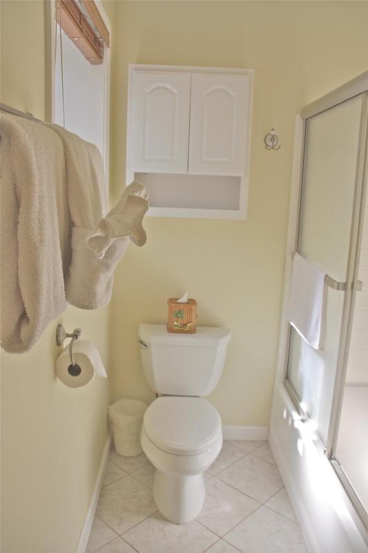Deluxe King Suite image 2