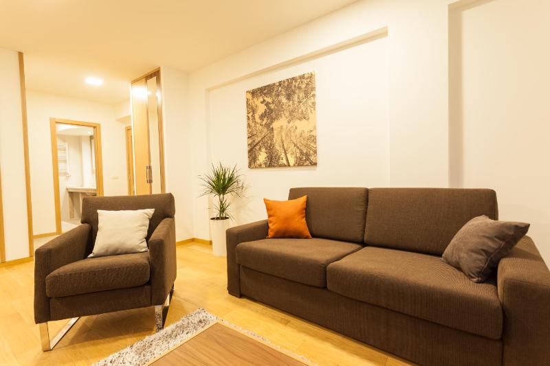 One-Bedroom Apartment image 4