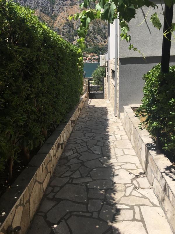 Studio with Terrace and Garden View image 1