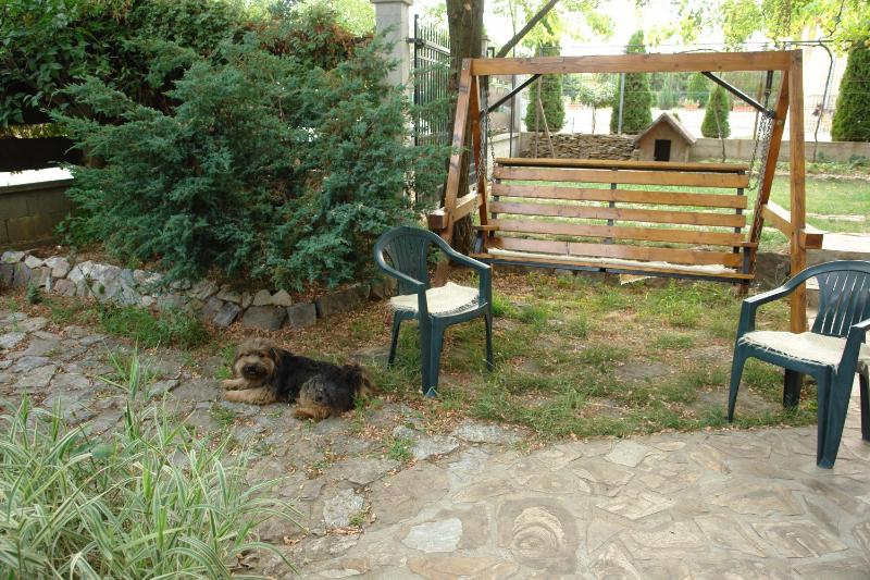 Casa Tomson free parking ciubăr piscină în natura - image 47