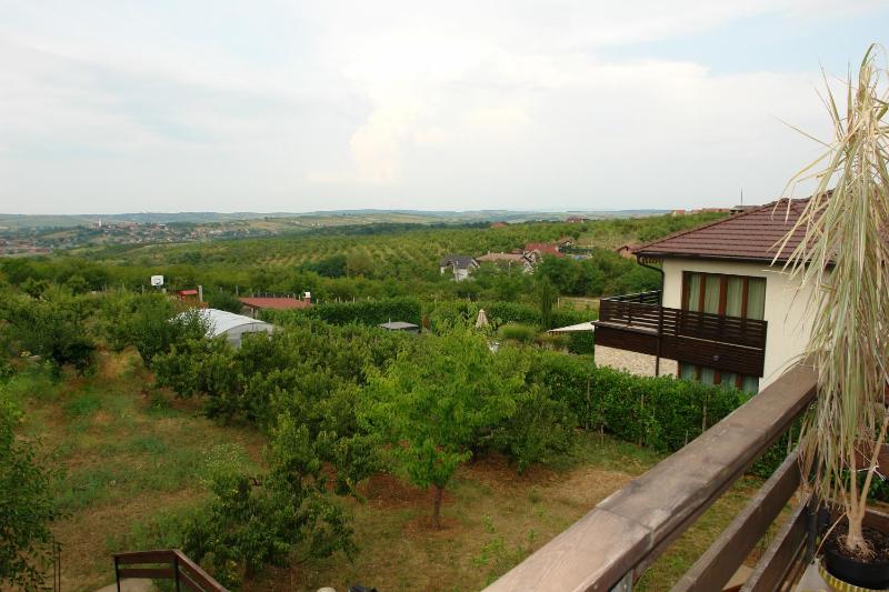 Casa Tomson free parking ciubăr piscină în natura - image 45