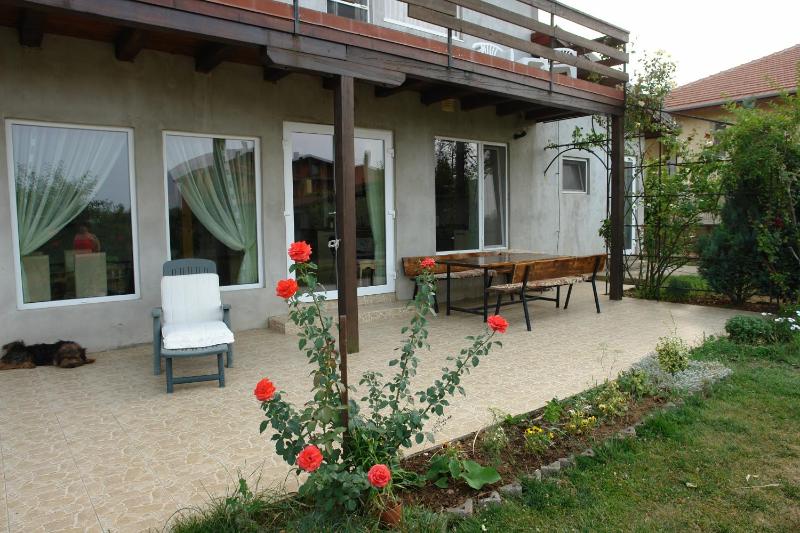 Casa Tomson free parking ciubăr piscină în natura - image 43